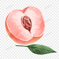WWW,BY1556·COM网站APP WWW,BY1556·COM网站APP